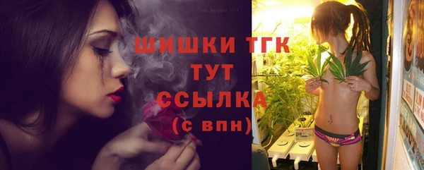 стаф Арсеньев