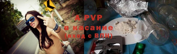 индика Новокубанск