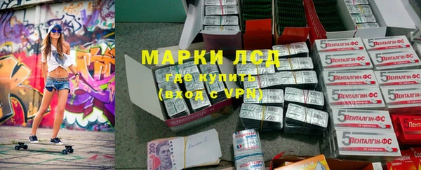 шишки Новозыбков