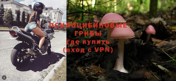 стаф Арсеньев