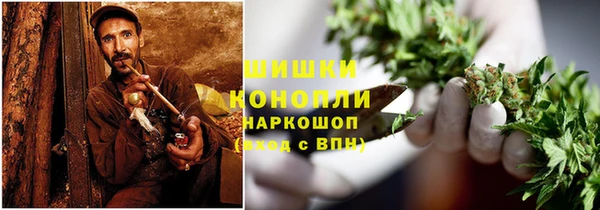 стаф Арсеньев